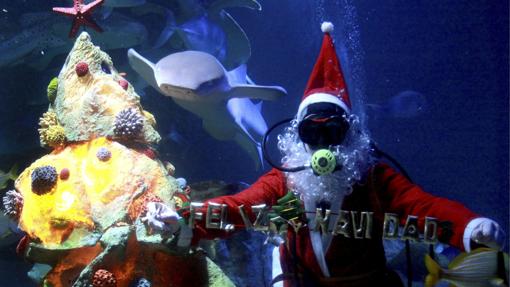 Un submarinista disfrazado de Papá Noel sumergido en uno de los estanques del acuario interactivo