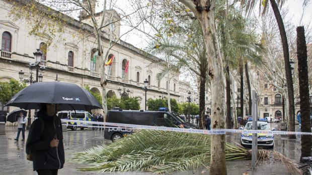 Temporal en Andalucía: ¿Qué debes hacer para prevenir daños por lluvias y vientos intensos?