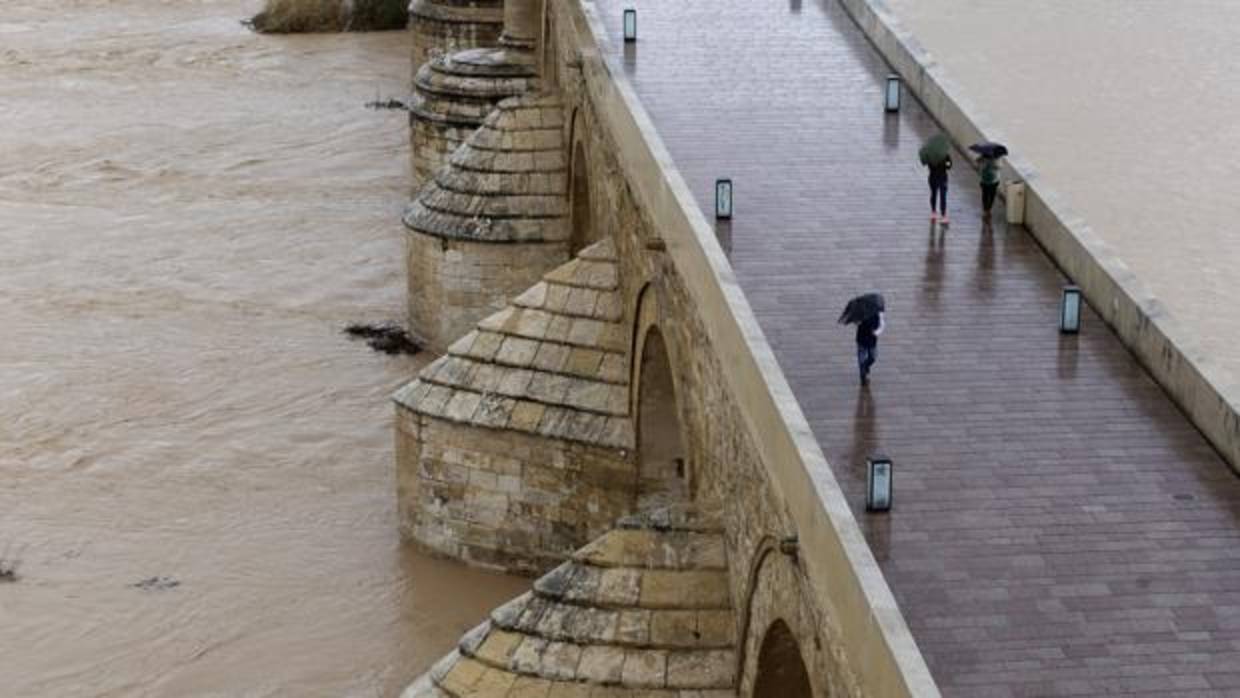 Paseantes por el Puente Romano con paraguas