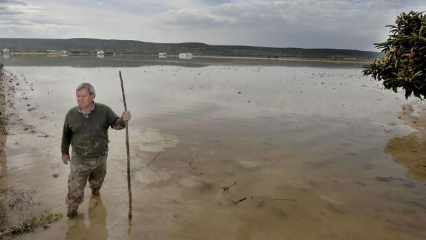 El Gobierno intervendrá en el cauce del río Guadalquivir por Andújar para evitar inundaciones