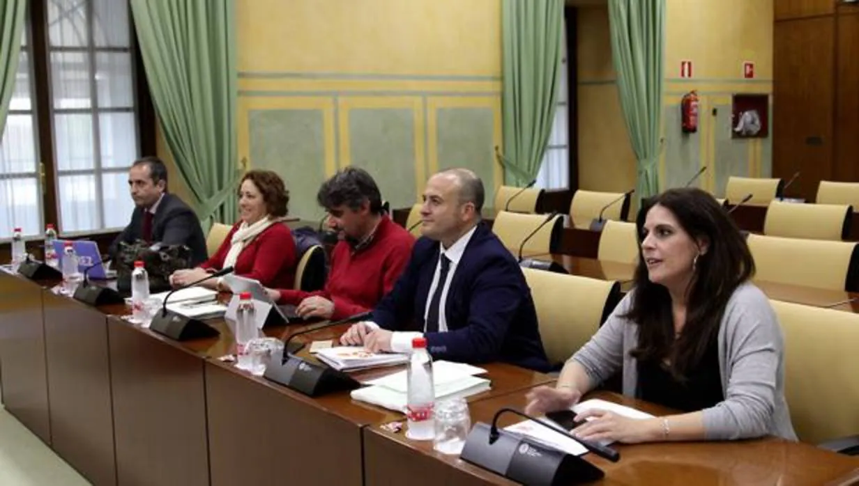 Los portavoces de los cinco grupos parlamentarios que trabajan en la reforma de la ley electoral