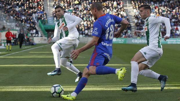 El Córdoba CF se aferra al «milagro» tras empatar contra el Real Oviedo (1-1)