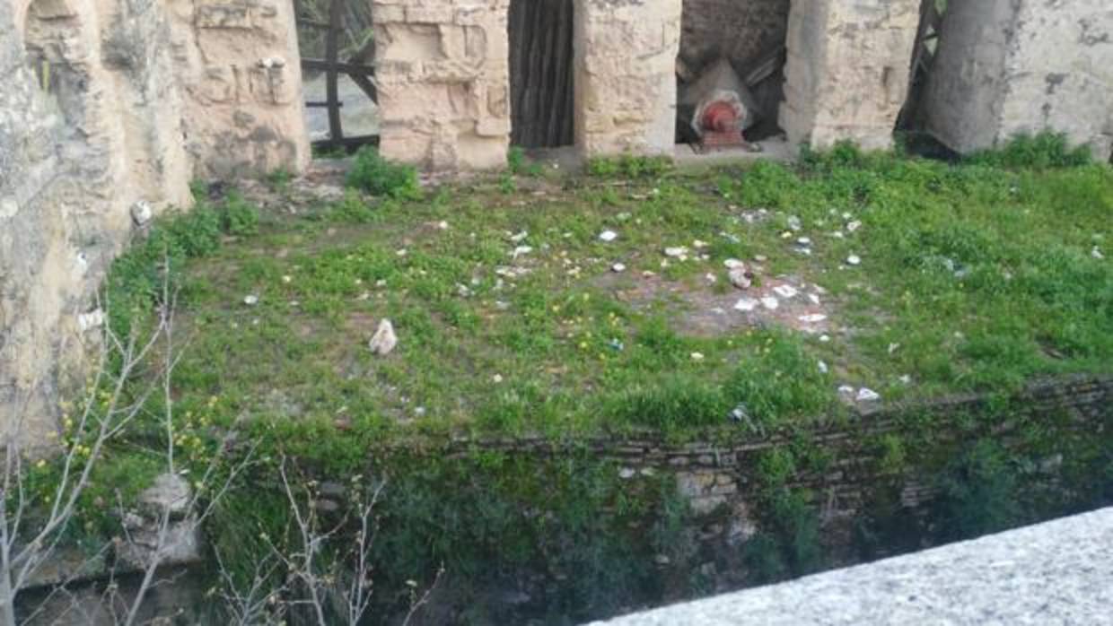 La basura se acumula en el entorno del molino de la Albolafia