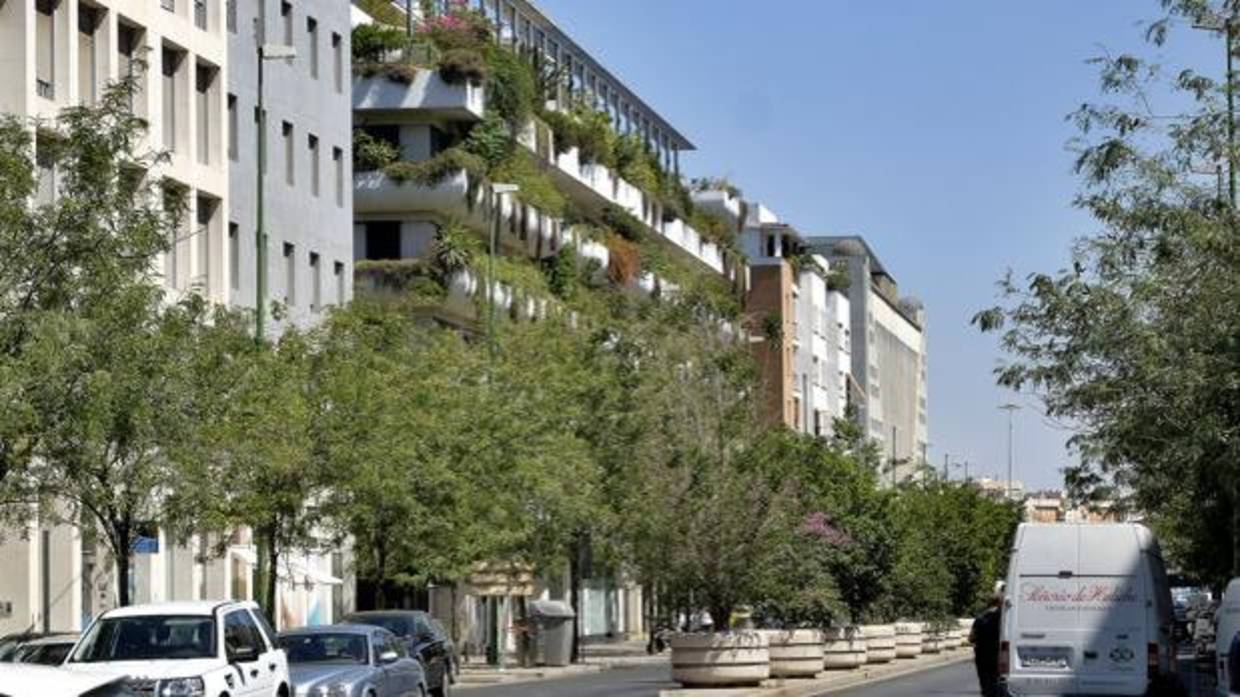 Avenida de la Buhaira de Sevilla