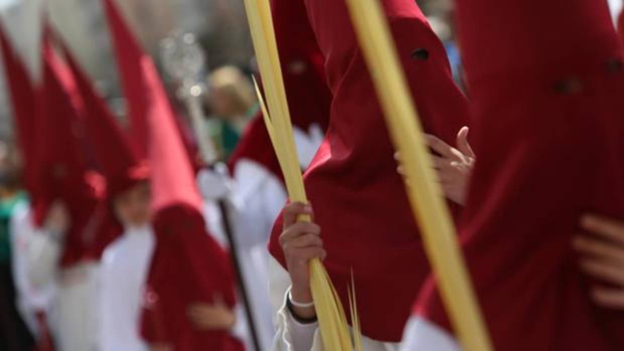 Las palmas son protagonistas el Domingo de Ramos