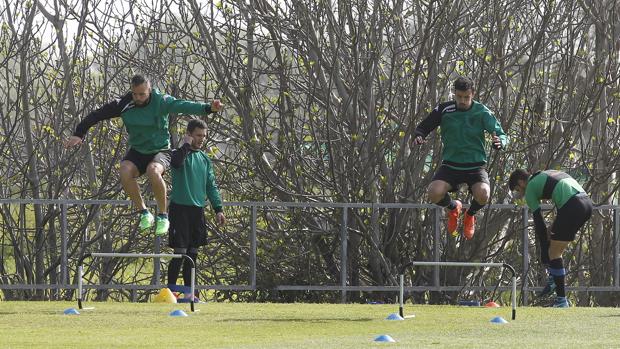 Córdoba CF | Así será el tramo final en la lucha por la permanencia