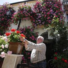 Todo lo que necesitas saber sobre la Fiesta de los Patios de Córdoba 2018