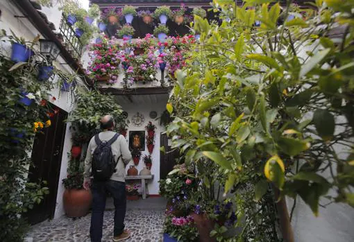 Córdoba se prepara para celebrar su tradicional Concurso de Patios