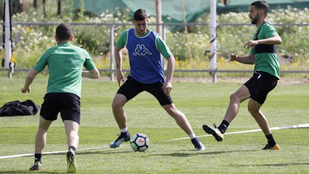 Córdoba CF | Sergi Guardiola: «Si ganamos el sábado, estamos ahí otra vez»