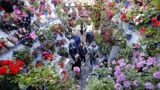 Los planes de ocio de este fin de semana en Córdoba