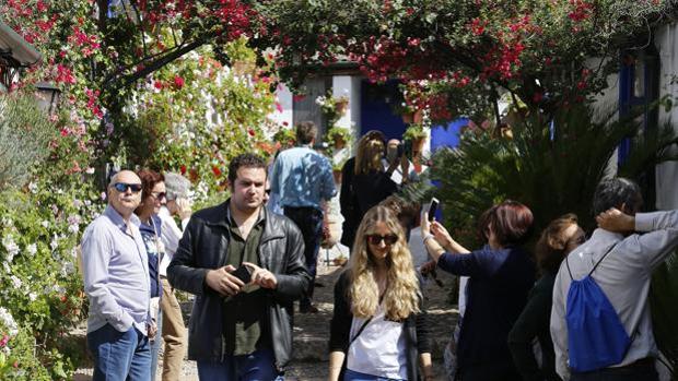 Marroquíes, 6 y Parras, 5, primeros premios del Concurso de Patios de Córdoba