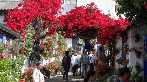 Patios de Córdoba de 2018: Marroquíes, 6