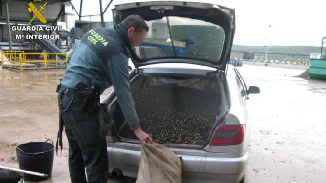 Un agente inspecciona el vehículo del detenido por el robo de aceitunas