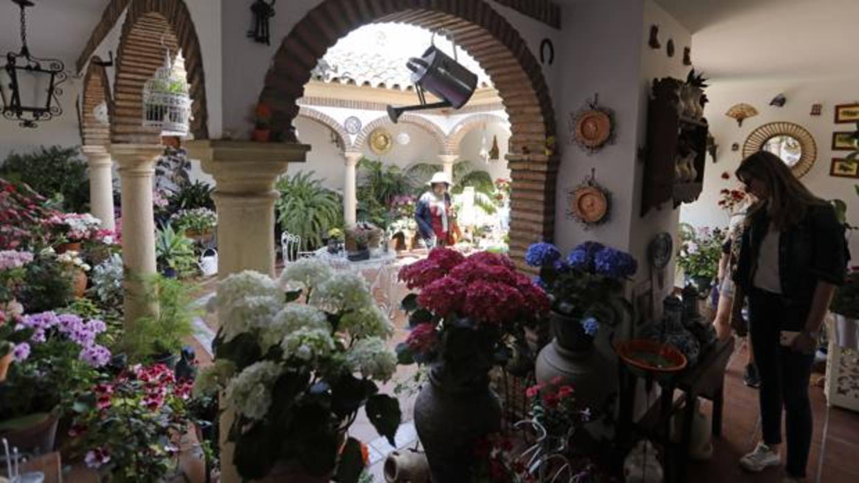 Interior del patio del número 15 de la calle Zarco en la ruta de Santa Marina