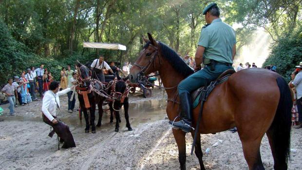 Piden 16 meses de cárcel para dos acusados de maltratar hasta la muerte a una mula en el Rocío 2016