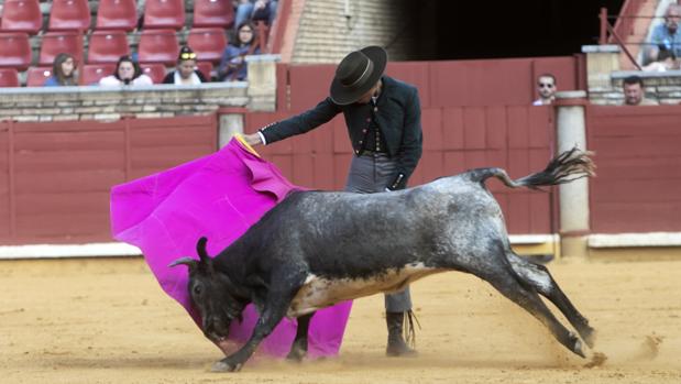 Feria de Córdoba 2018 | Una becerrada para abrir boca