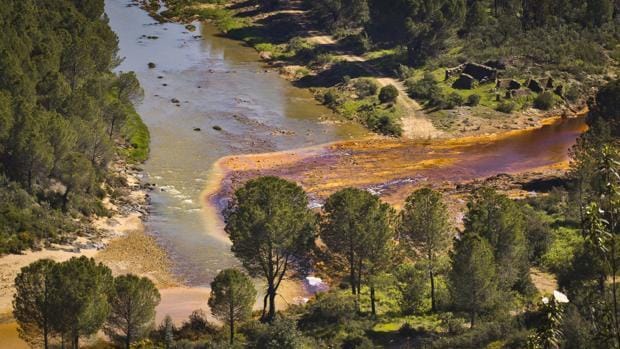 Toxicología confirma daños al Odiel y a arroyos por el vertido de la Zarza en Huelva