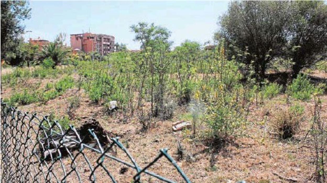 Vista parcial de la parcela de Estepona perteneciente a la Casa Real de Arabia Saudí