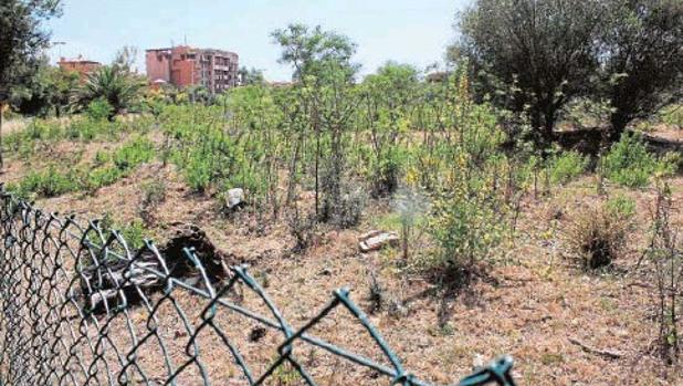 Indulto para miles de viviendas de Estepona que habían quedado bloqueadas