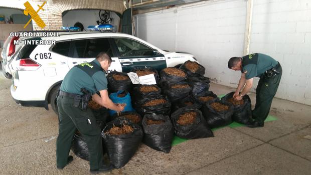 La Guardia Civil aprehende 180 kilogramos de hojas de tabaco y detiene a dos vecinos de El Carpio