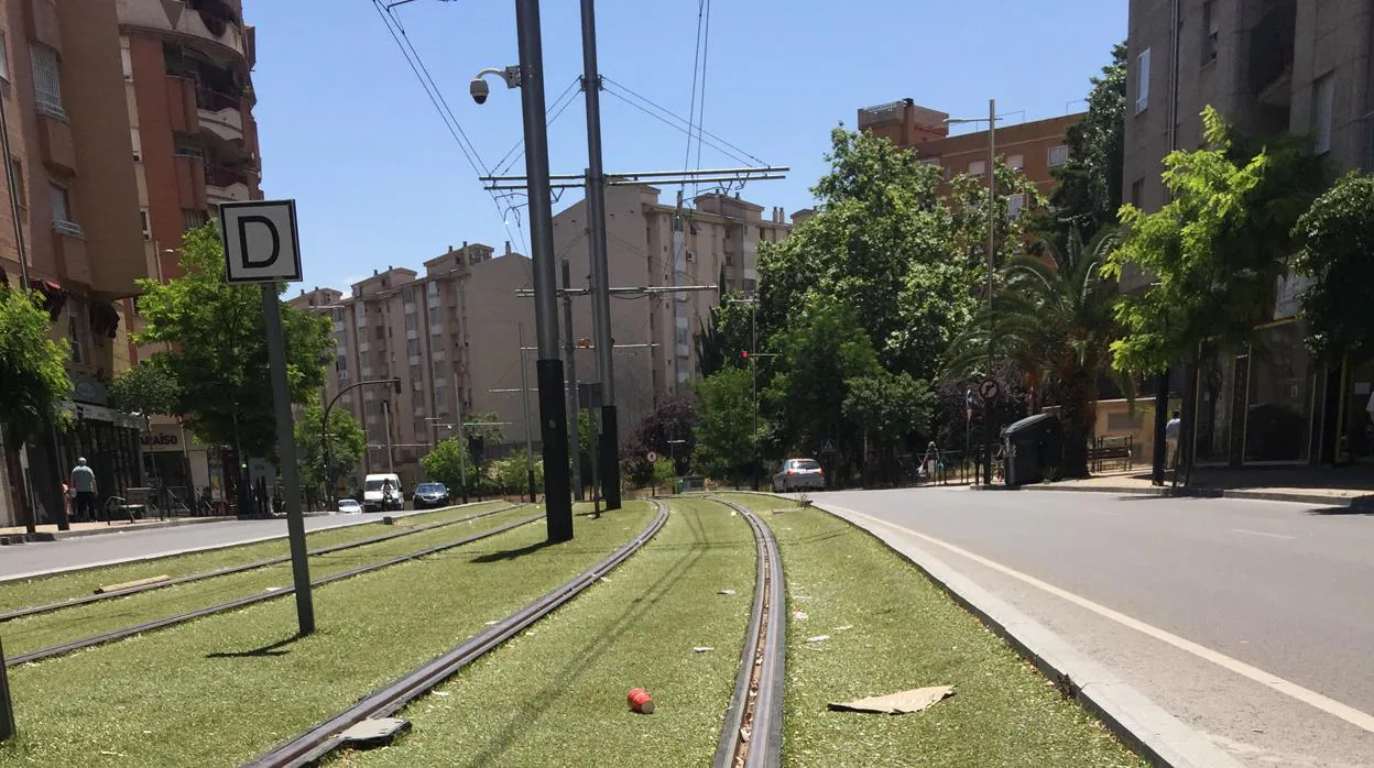 Basura esparcida en un céntrico tramo del tranvía de Jaén