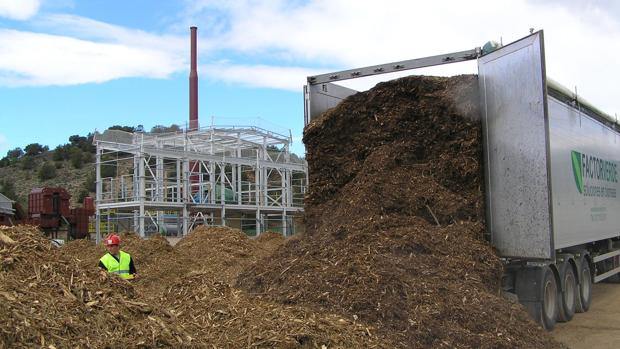 El uso de biomasa en Córdoba avanza con un crecimiento del 20 por ciento anual