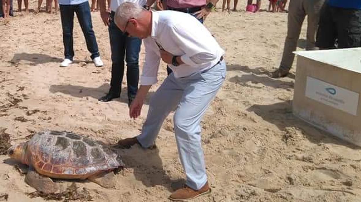 Momento en que la tortuga es liberada en una playa de Tarifa