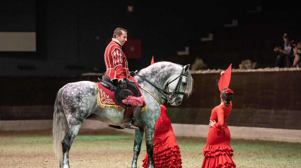 Córdoba ecuestre lleva el caballo andaluz hasta Eslovenia