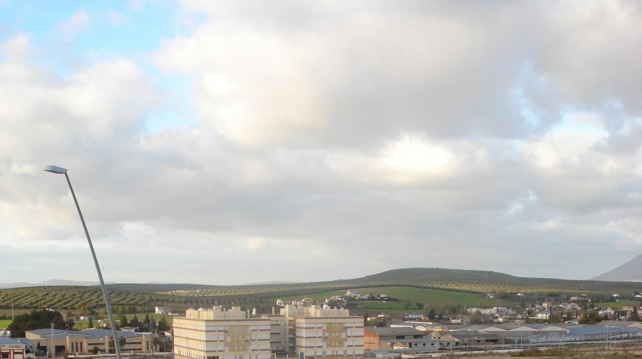 Zona de El Zarpazo donde se ven dos edificios junto a las parcelas vacías