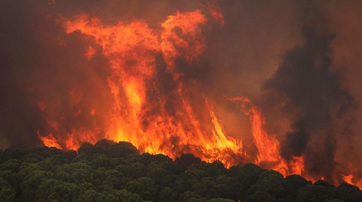 Espectacular imagen del incendio forestal de Nerva