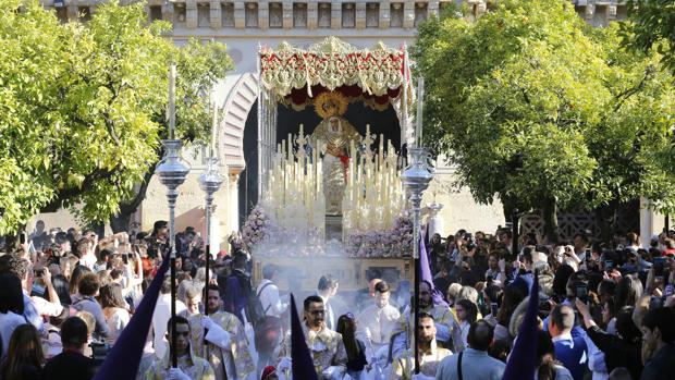 La Agonía esperará otro año más para seguir con estrenos en su palio