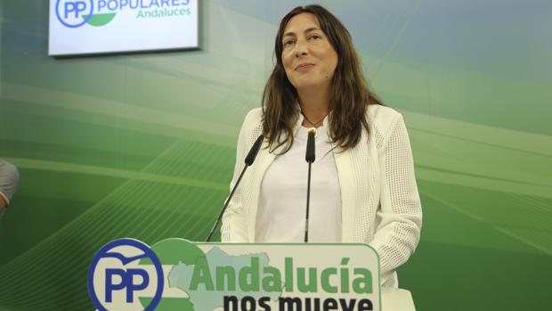 El PP pide al Gobierno andaluz que comparezca en el Parlamento para explicar la política de inmigración