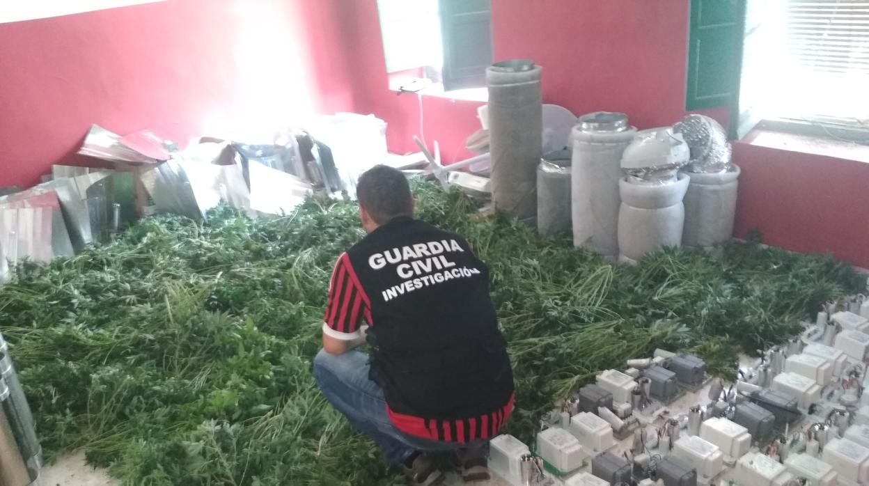 Un agente de la guardia civil durante la «Operación Hierbabuena»