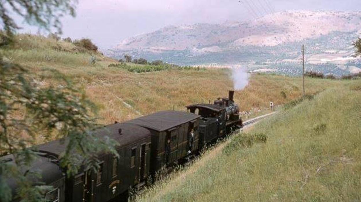 El Tren del Aceite saliendo de Doña Mencía hacia Zuheros, en una imagen de 1966