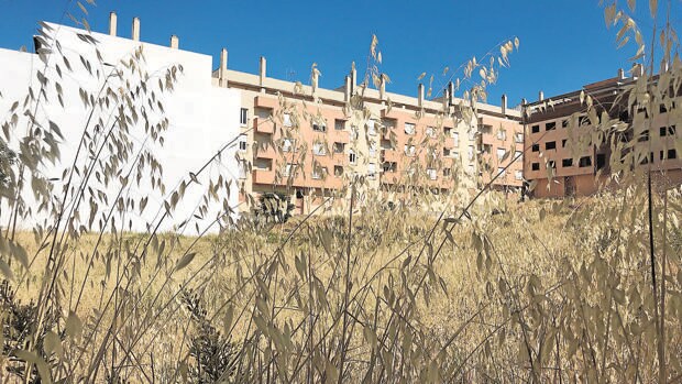 Los vecinos de La Dehesa de la Villa en Lucena denuncian el «abandono» del barrio