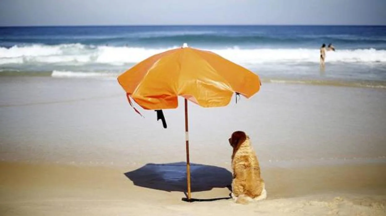 Sombrilla en una playa