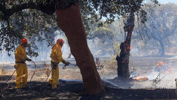 El fuego en la sierra de la Lastra, en la localidad de Luque (Córdoba) queda controlado