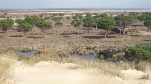 El Defensor del Pueblo pide proteger el acuífero del Parque Nacional de Doñana