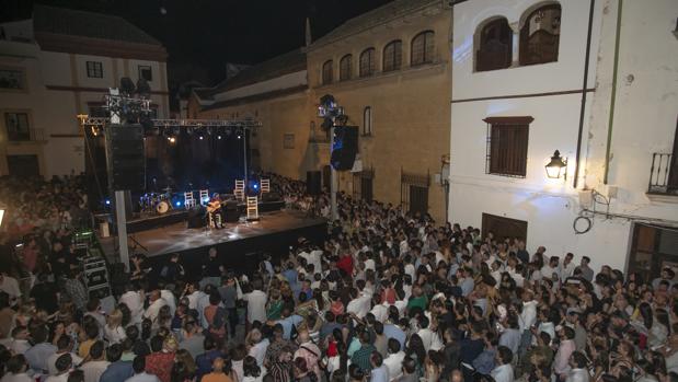 El Consejo del Movimiento Ciudadano pide una «ordenanza única» para el uso de las calles de Córdoba