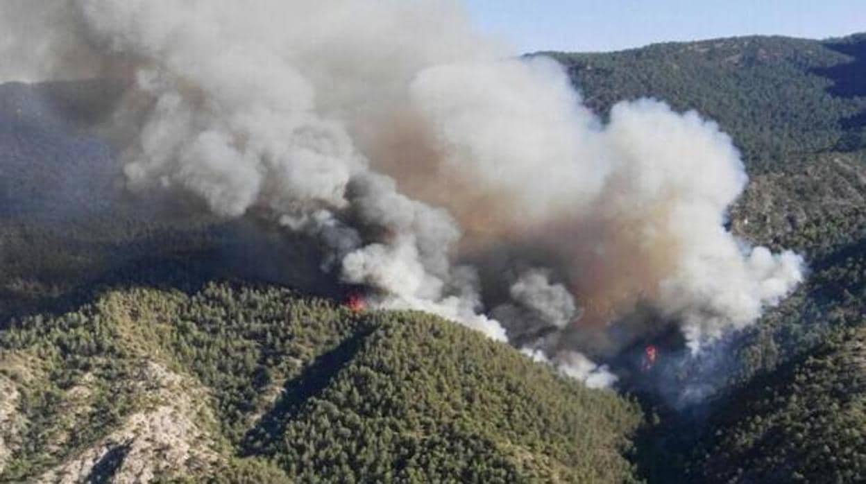 Paraje afectado por el incendio que tuvo lugar en el érmino de Segura de la Sierra en 2017