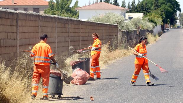 Un estudio revela que los ciudadanos valoran mejor los servicios municipales que al gobierno local de Córdoba