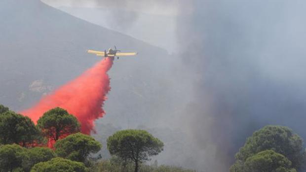 Incendios forestales en Córdoba: una cuarentena de denuncias en solo seis meses