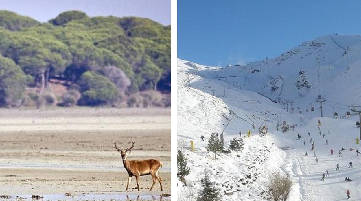 Doñana y Sierra Nevada: los dos Parques Nacionales más importantes de Andalucía