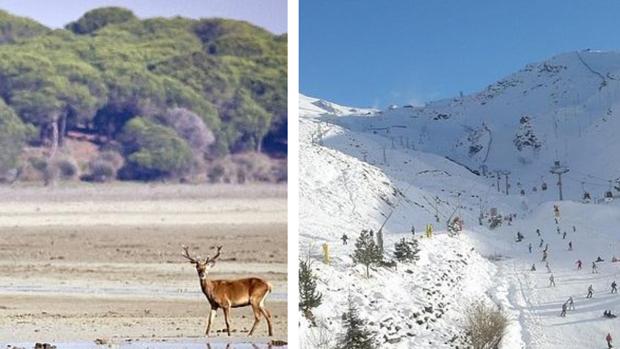 Andalucía aspira a tener un tercer parque nacional tras Doñana y Sierra Nevada