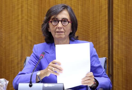 Rosa Aguilar, durante su comparecencia en el Parlamento este miércoles