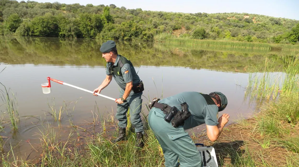 Agentes de la Guardia Civil toman una muestra de agua del río Rumblar