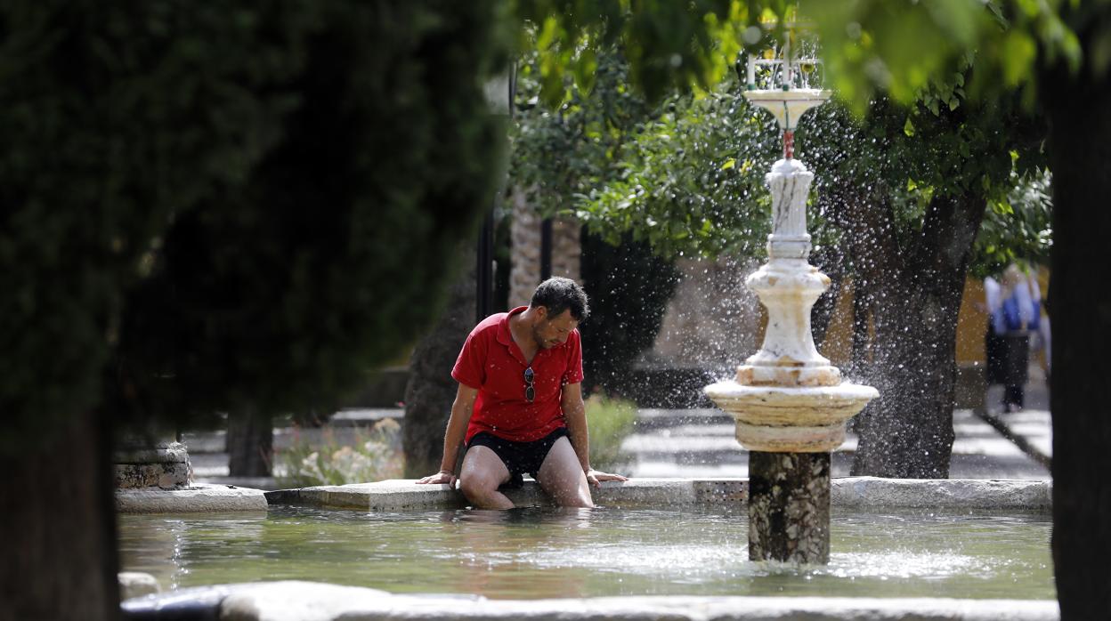 Un hombre se refresca en la Fuente del Olivo de la Mezquita-Catedral