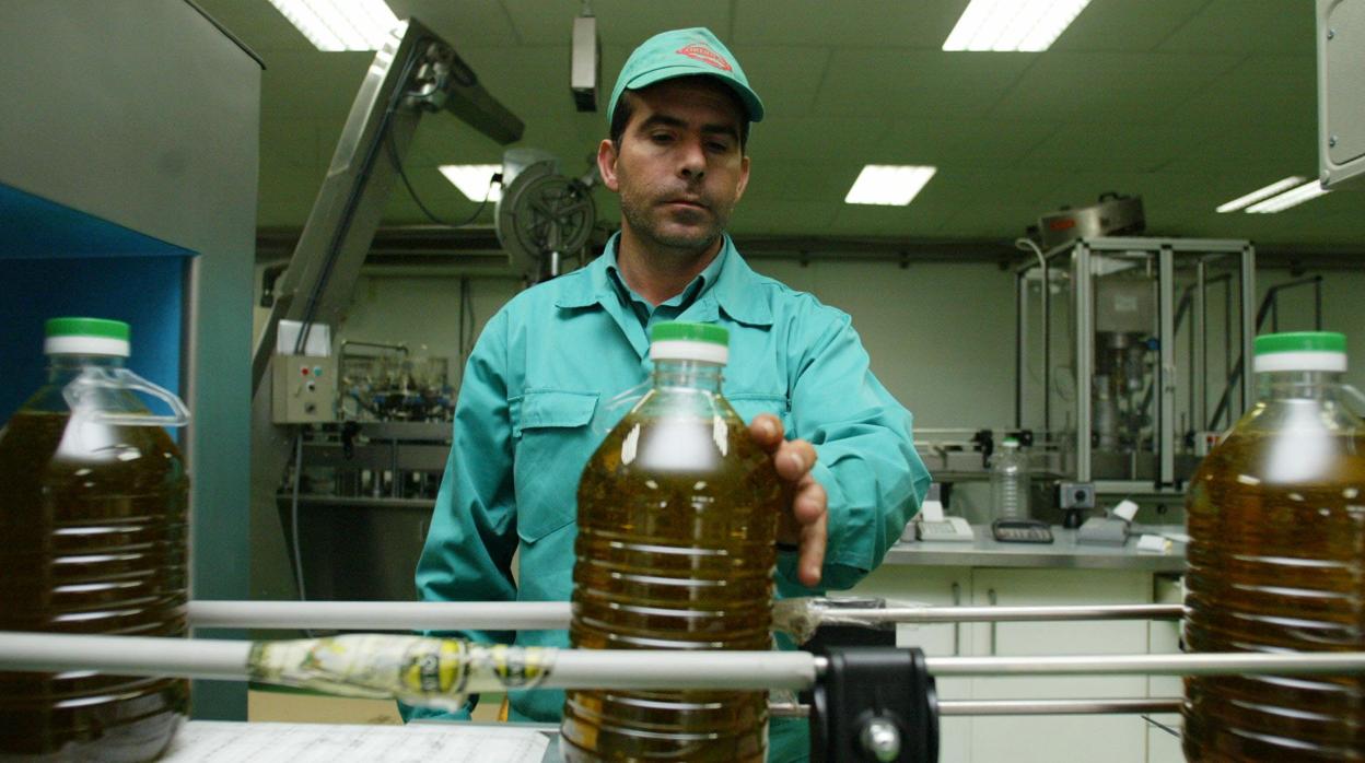 La producción de aceite podría alcanzar las dos toneladas por lo que es necesario que el consumo suba