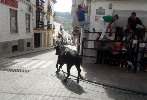 El Toro de Cuerda en Carcabuey, con la Subbética al fondo