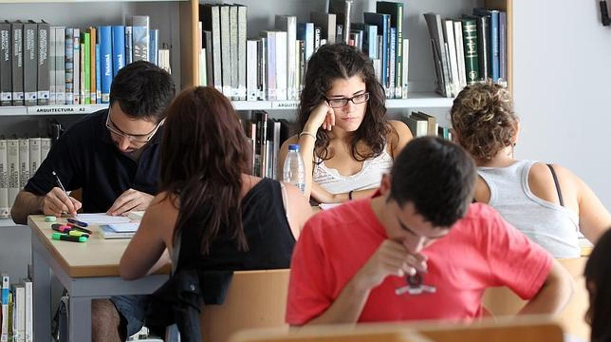 Estudiantes universitarios en la biblioteca de su facultad